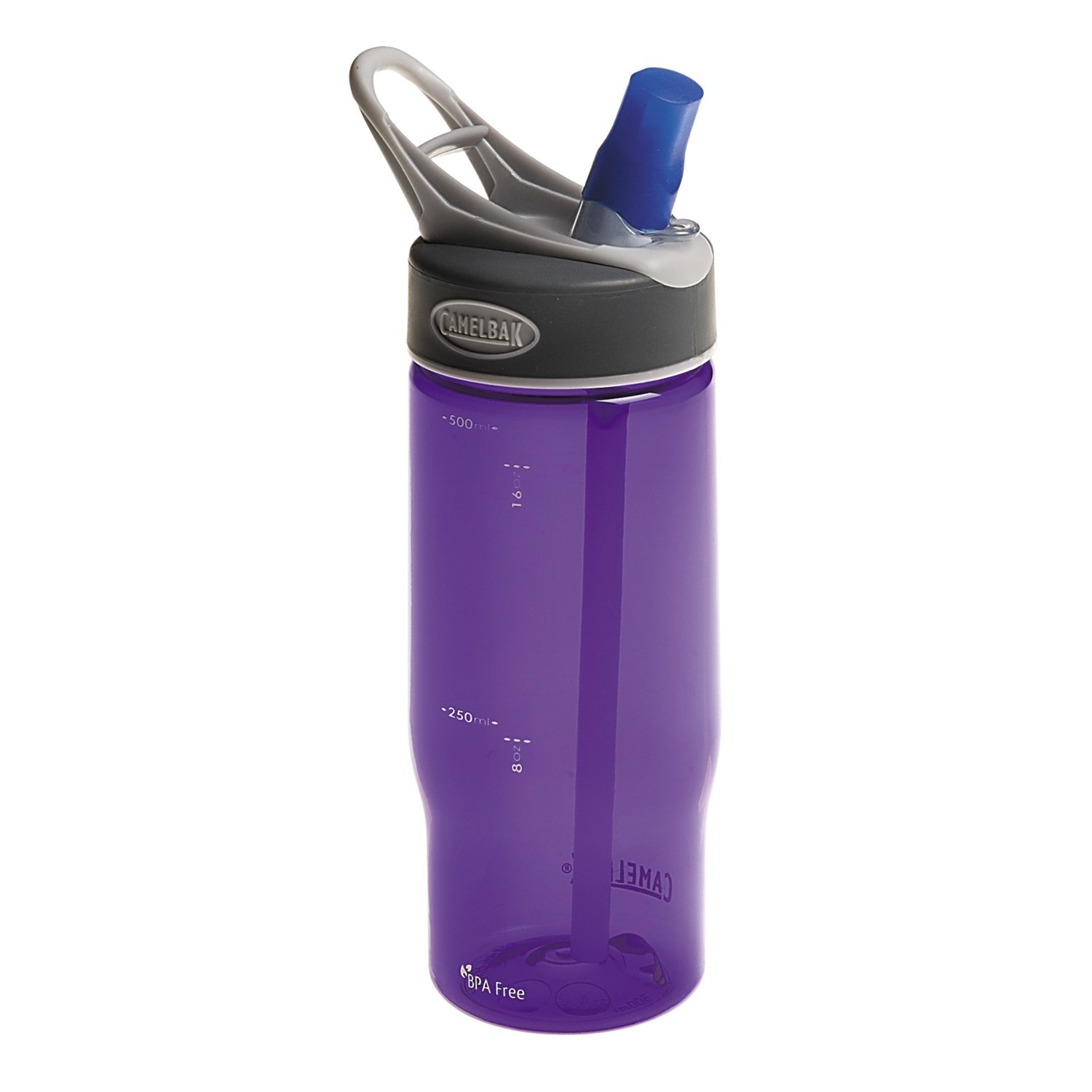 CamelBak Better Water Bottle w/BITE VALVE 16.9Ounce BPAFree PURPLE .5