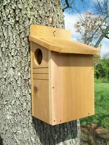 Cedar Squirrel House/ Squirrel Nesting Box  eBay
