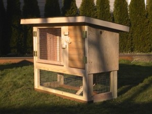 Chicken and Rabbit Hutch Plans