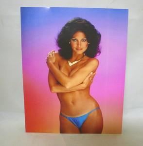 Debbie Zullo Penthouse Pet of The Year New 8x10 Color Photo | eBay