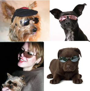 K9 Optix