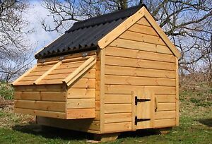EXTRA LARGE Chicken House Hen House Chicken Coop Coup | eBay