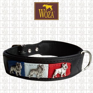 Pet Supplies > Dog Supplies > Collars