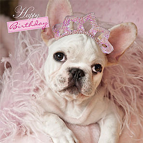 French Bulldog Birthday Card All Dressed Up Glitter Tiara Pretty