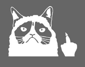 middle finger cat