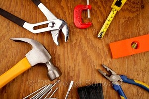 Computers/Tablets & Networking > Software > Hobbies & Leisure