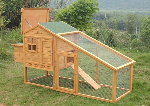 Chicken Hen Houses