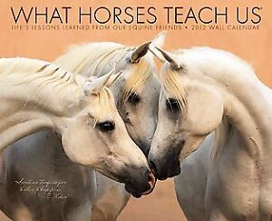 What Horses Teach Us 2012 Calendar Willow Creek Press
