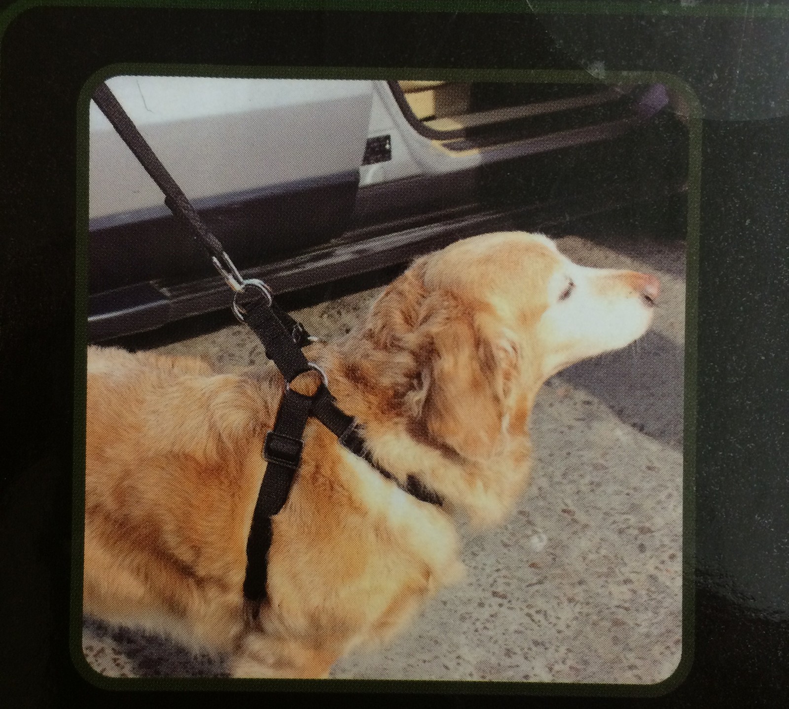 Hunde Autogurt Gurt Sicherheitsgurt Hundegurt Anschnallgurt Einstellbar