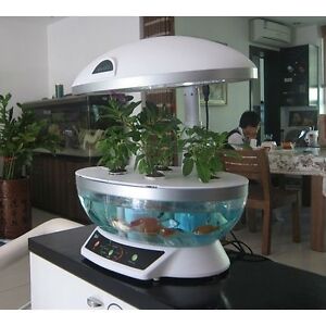 Details about Indoor Garden Aquaponics System Hydroponic Aquaculture