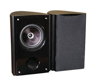 Insignia Speakers