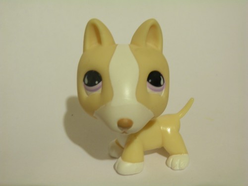 LPS Pet Shop #483 Rare Short Hair Grey & Gold Cat W Green Eyes & Flower in Toys & Hobbies