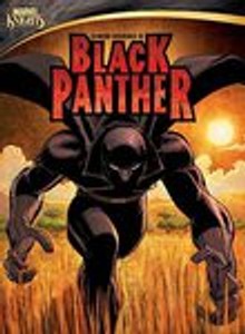 Black Panther Dvd