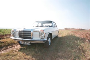 Oldtimer stuttgart mercedes #6