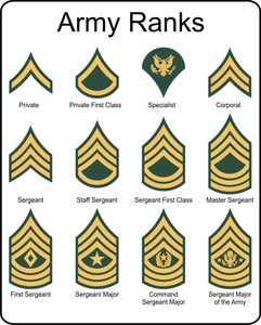 Military Insignia on Military U S Army Rank Insignia Metal Sign   Ebay