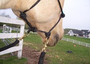 Natural Horsemanship RIDING Halter/Bitless Bridle/Hackamore/Side Pull~YACHT ROPE in Pet Supplies, Horse Supplies | eBay