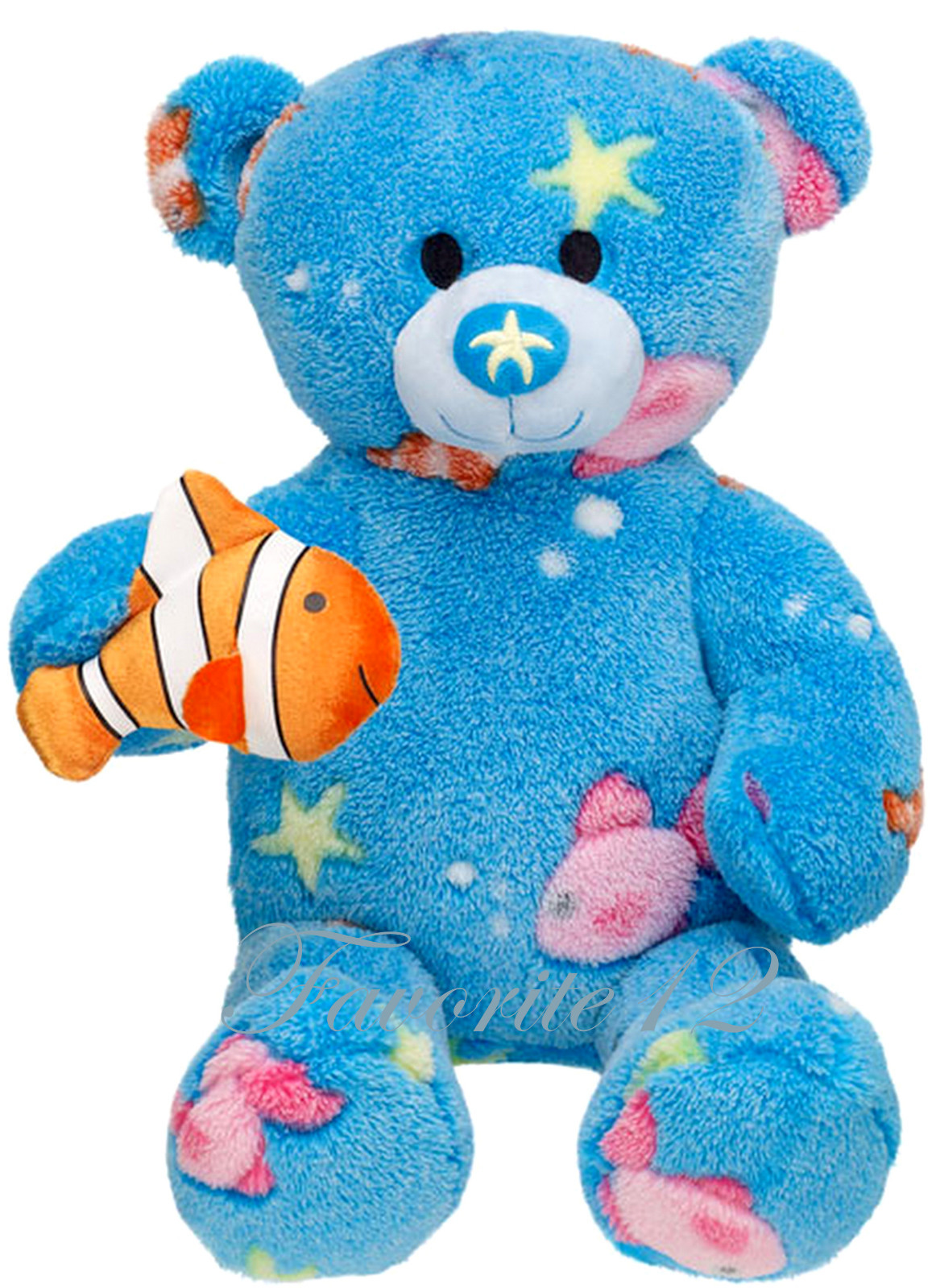 teddy bear fish