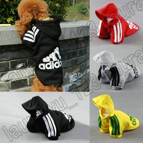 New Pet Puppy Dog Cat Coat Clothes Hoodie Sweater T-Shirt Free Shipping in Pet Supplies, Dog Supplies, Clothing & Shoes | eBay