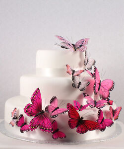 Butterfly Cake Toppers  Wedding on Pink Butterfly Butterflies Wedding Cake Decorations   Ebay