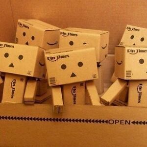 Revoltech Danbo Danboard on Revoltech Danboard Mini Danbo Amazon Figure Box Set 1 1   Ebay