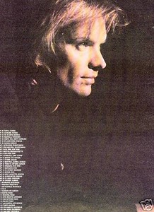 Sting 1988