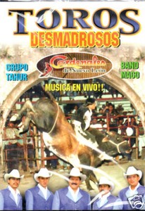 Musica En Vivo Miami Fl