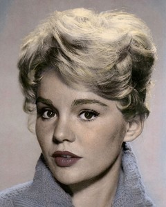 Hollywood Star Actress on Tuesday Weld Hollywood Actress   Movie Star 8x10  Hand Color Tinted