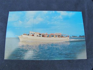 Deep  Fishing Clearwater on Vintage Postcard Deep Sea Fishing Clearwater Fl Rainbow   Ebay