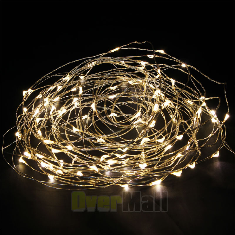 Warm White 10M 100LED LED Copper Wire LED String Fairy Lights Lamp+ 12V DC Plug