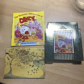 The Fantastic Adventures of Dizzy (NES, 1992), Booklet/Phamplet, Tested