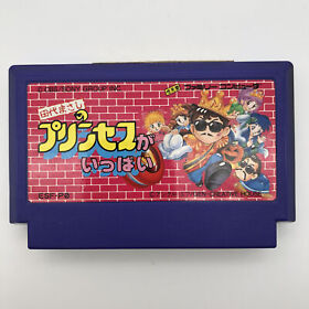 Princess ga Ippai Masashi Tashiro Nintendo NES FC Famicom ESF-PO JAPAN