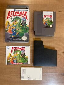 Astyanax Nintendo NES Boxed Box CIB Complete