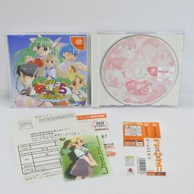 Dreamcast NET DE PARA Spine * Sega 5082 dc