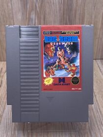 Tag Team Wrestling -- NES Nintendo Original Classic Authentic Game TESTED