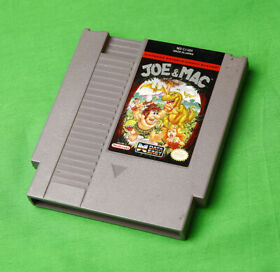 Joe & Mac Caveman • Nintendo Entertainment System/Console NES • 1992 Data East