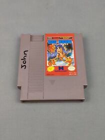 Tag Team Wrestling NES (Nintendo Entertainment System, 1986) Tested Working 
