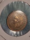 1875 Indian Head Cent Penny- Red Color Au+