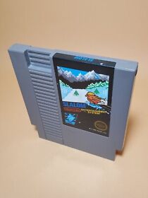 Slalom (NES, Nintendo Entertainment System, 1986)