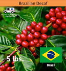 Green Unroasted Coffee Beans Brazil Cerrado Swiss Water Process Decaf, 5lbs.