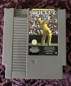 International Cricket - PAL - Nintendo - NES Video Game, Game Only 