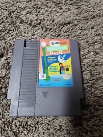 Sesame Street 123 NES Nintendo Entertainment System, Game Cartridge Only