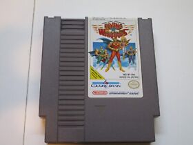 Flying Warriors Nintendo Entertainment System, 1991 NES culture brain 