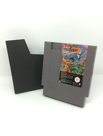 NES - Wizards & Warriors Modul mit Schuber (Nintendo Entertainment System)AKlaim
