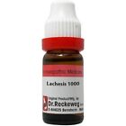 Dr. Reckeweg Germany Homeopathy Lachesis (11 ml) (Select Potency)