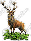 Red Deer Stag Hunting Hunter Animal Wild Car Bumper Vinyl Sticker Decal 4