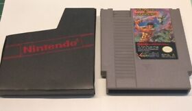 Wizards and Warriors, Nintendo NES, cartuccia e custodia testata funzionante. 