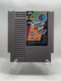 Wood And Water Rage Town And Country (T And C) Surf Designs (Nintendo NES)