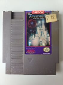 Disney Adventures In The Magic Kingdom Con Manual (Auténtico) (Nintendo, NES)