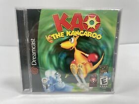 KAO THE KANGAROO Sega Dreamcast Video Game Titus 2000 Cover Art No Manual