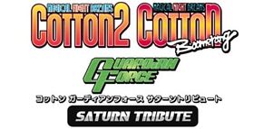 Cotton Guardian Force Saturn Tribute Special ver. PS4 instruction card book CD